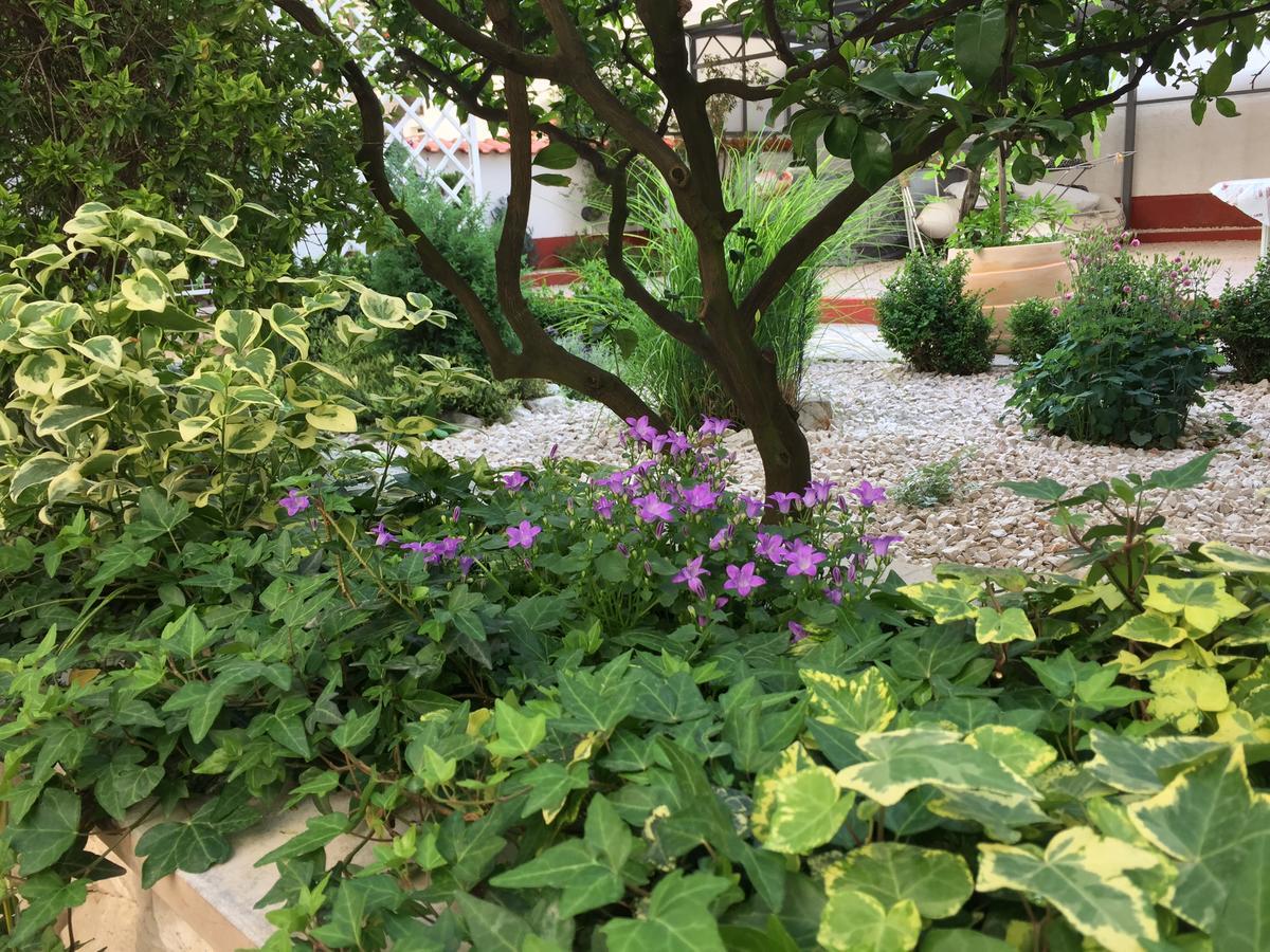 Apartments - Rooms Vesna Primošten Εξωτερικό φωτογραφία